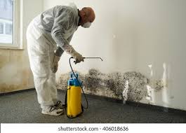 Why You Should Choose Our Mold Remediation Services in West Haven, UT